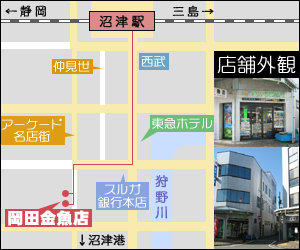 w牪cXւ̃[g